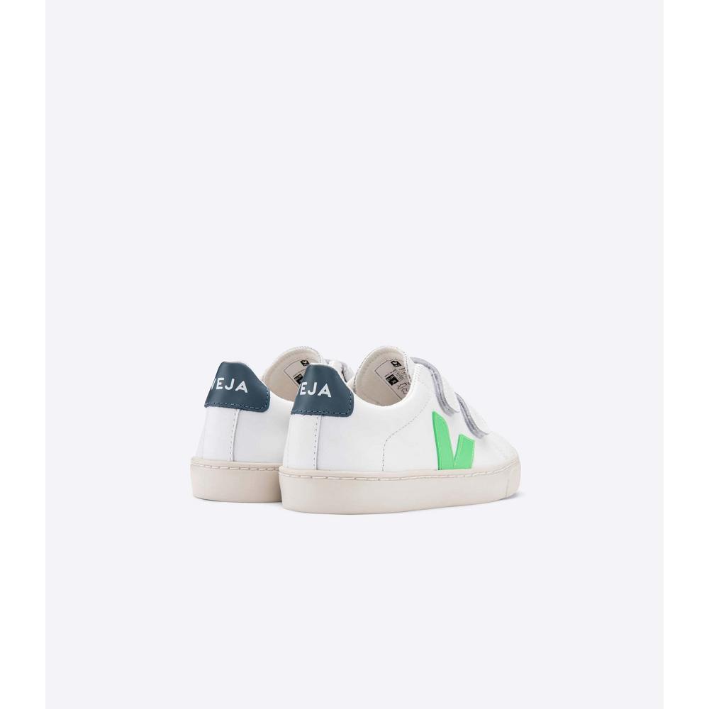 Veja ESPLAR LEATHER Kids' Sneakers White/Green | NZ 816EBC